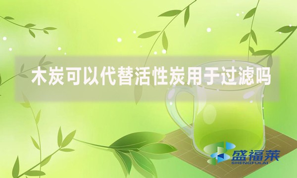 木炭可以代替活性炭用于過濾嗎？