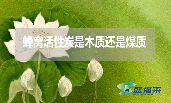 蜂窩活性炭是木質(zhì)還是煤質(zhì)？哪種好？